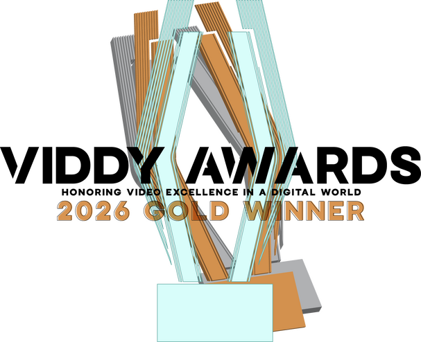 Viddy Awards